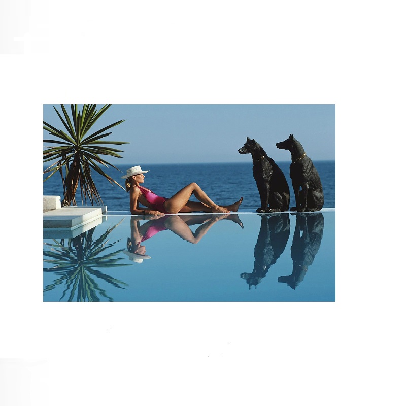 Retro Poolside Host Luxury Lif - مراجعة Luxury Lifestyle Pictures وسعره
